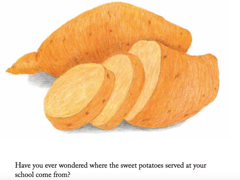 https://www.ncfb.org/wp-content/uploads/2021/06/Sweetpotato-illustration2.jpg